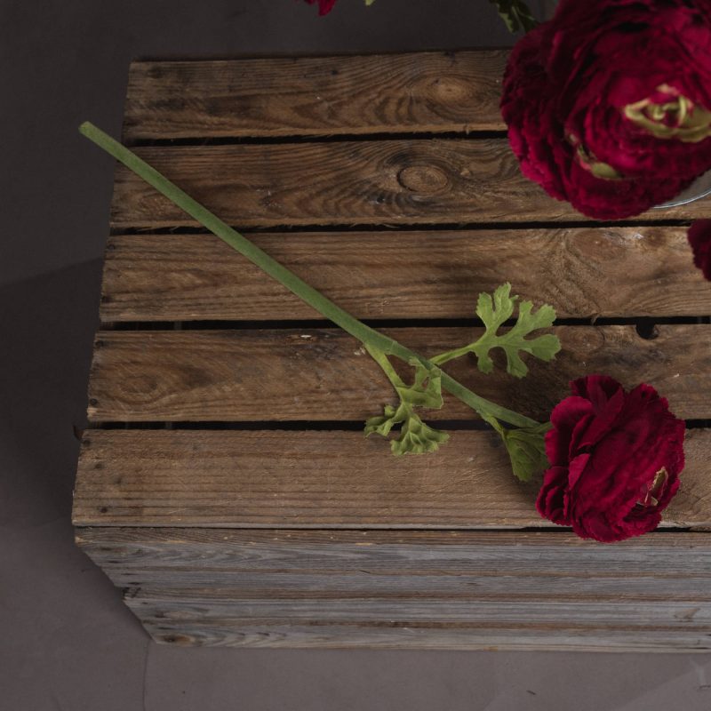 Red Ranunculus Spray - Image 2