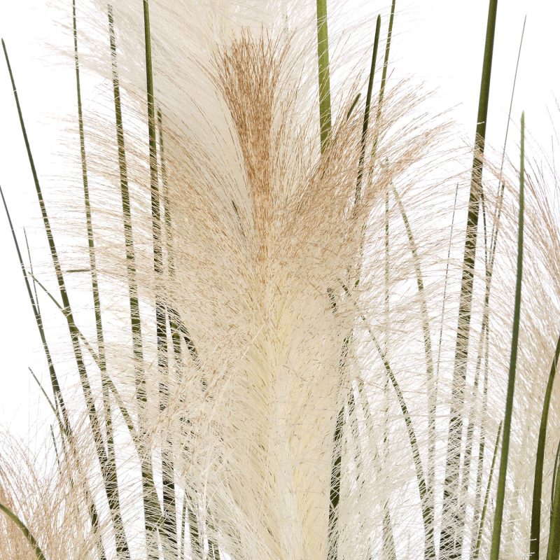 Pampas Grass Bush - Image 2