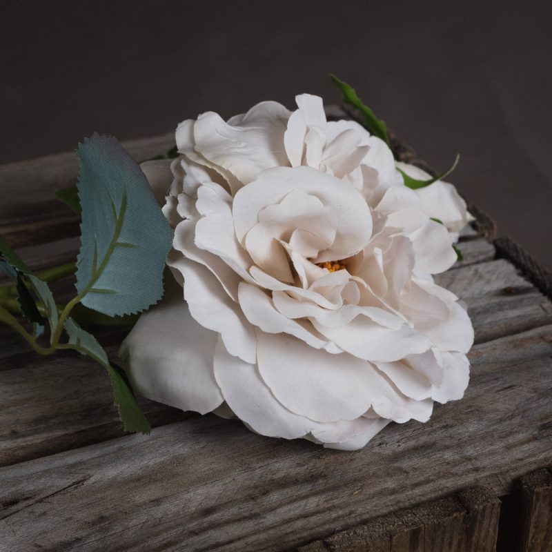 White Short Stem Rose - Image 3