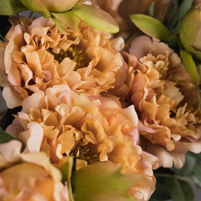 Pink Fashion Peony - Image 3