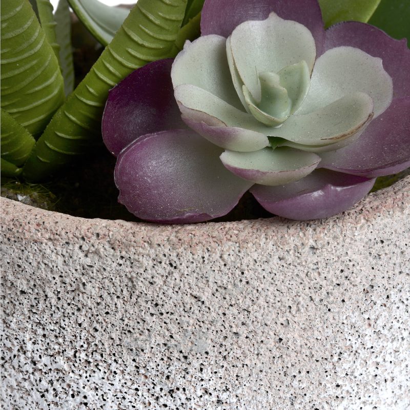 Potted White Hyacinth - Image 5