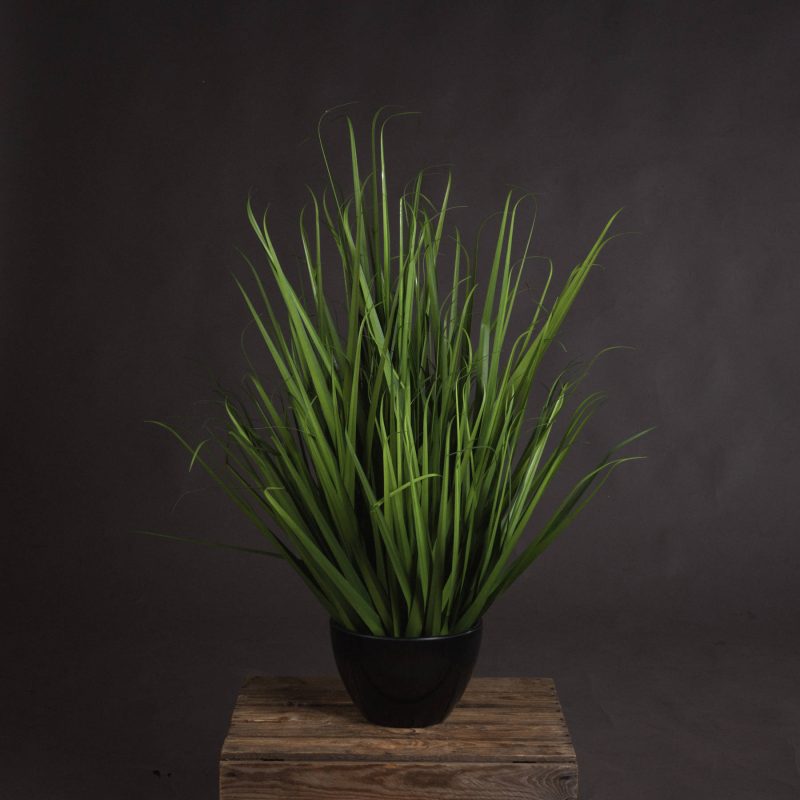 Large Field Grass Pot