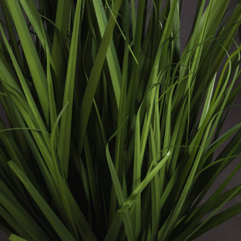 Large Field Grass Pot - Image 3