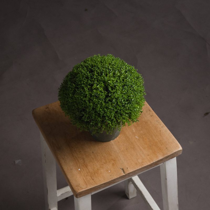 Hebe Globe Pot - Image 2