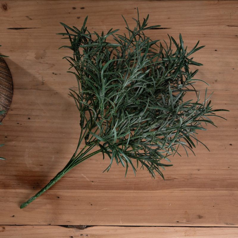 Rosemary Bush Filler - Image 2