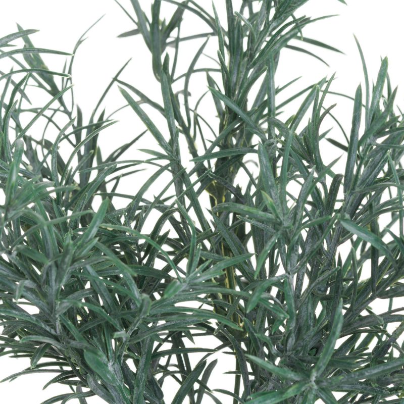 Rosemary Bush Filler - Image 4