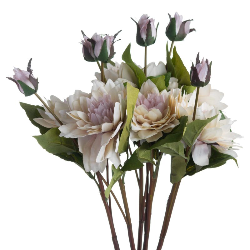 Coffee Cream Dahlia - Image 3