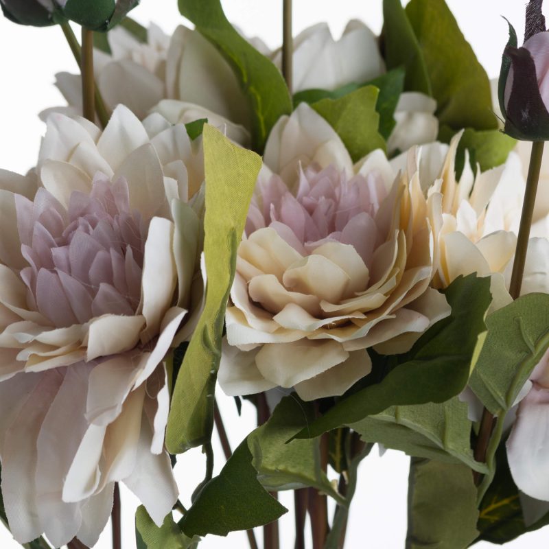 Coffee Cream Dahlia - Image 5