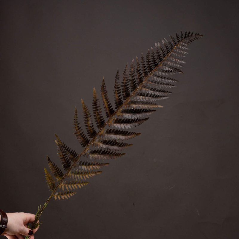 Single Brown Fern Leaf - Image 2