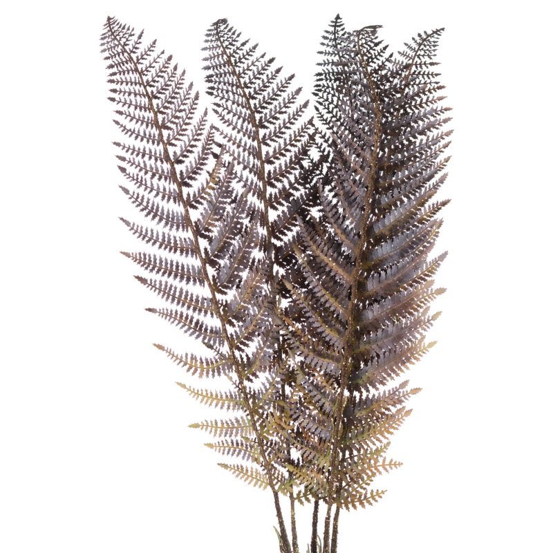 Single Brown Fern Leaf - Image 3