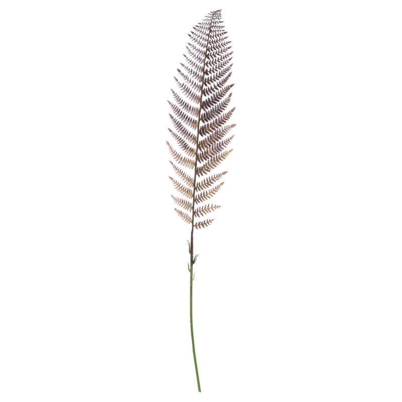 Single Brown Fern Leaf - Image 4