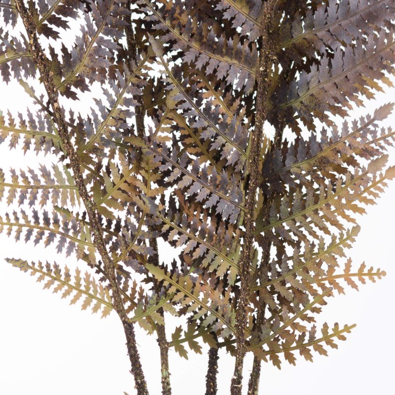 Single Brown Fern Leaf - Image 5