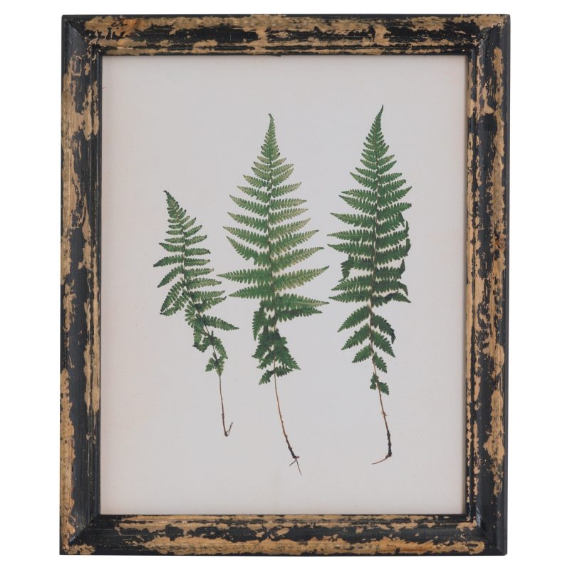 Rustic Framed Botanical Triple Fern Picture