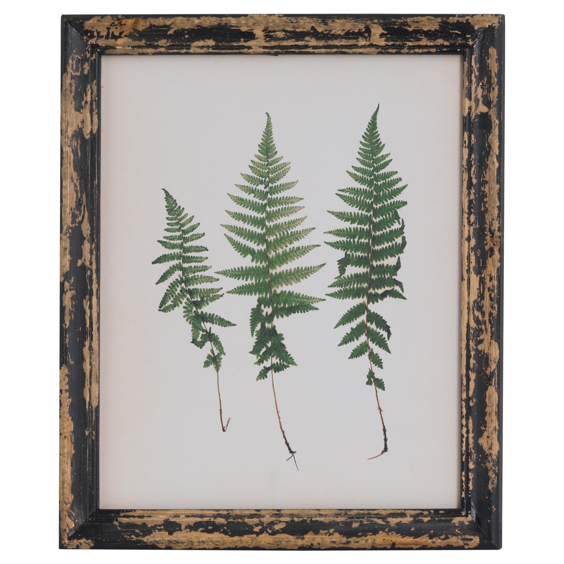 Rustic Framed Botanical Triple Fern Picture