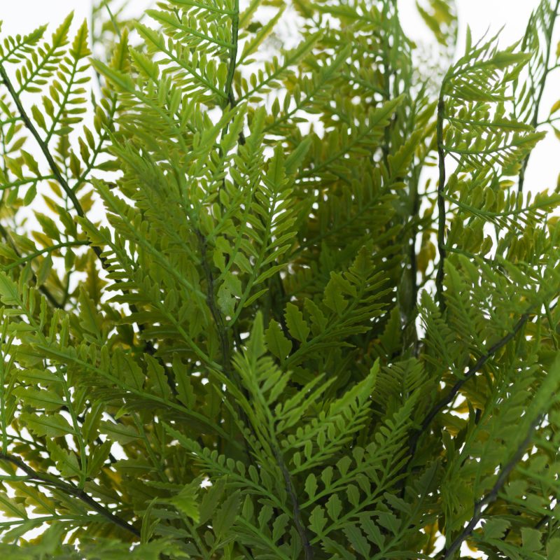 Green Fern Bunch - Image 3
