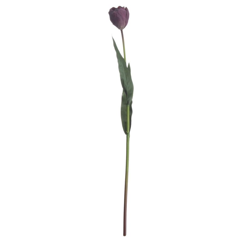 Purple Tulip - Image 3