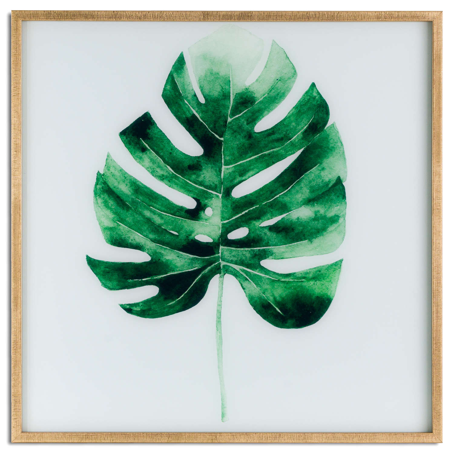 Cheese Plant Glass Image In Gold Frame