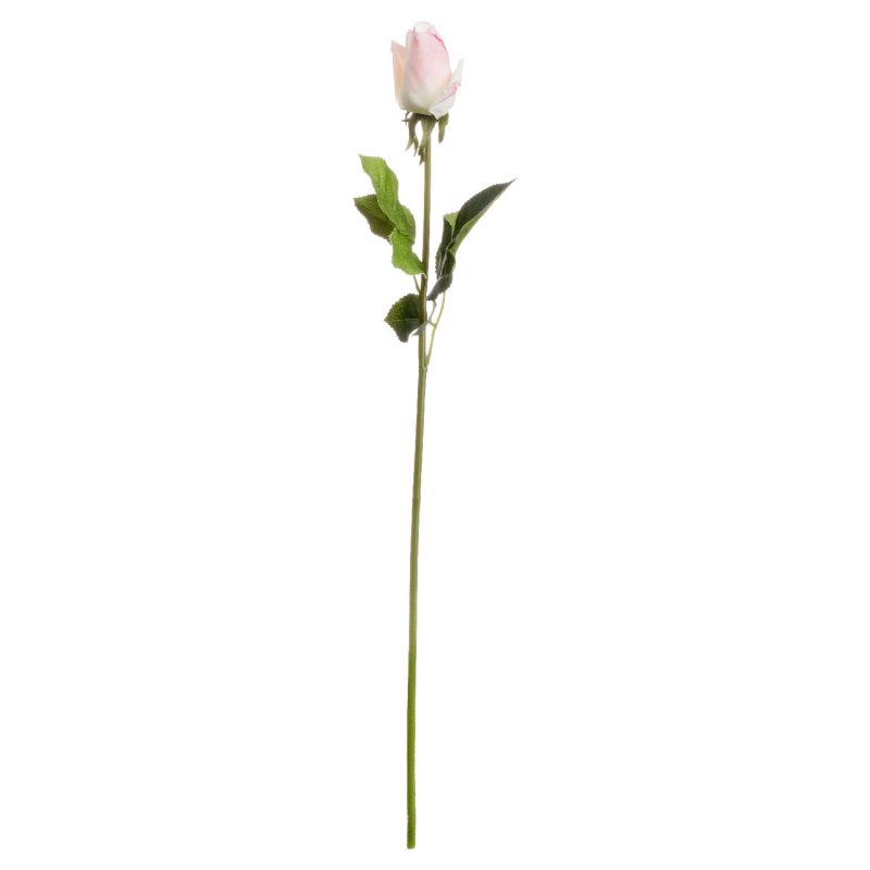 Cream Closed Rose Bud - Image 2