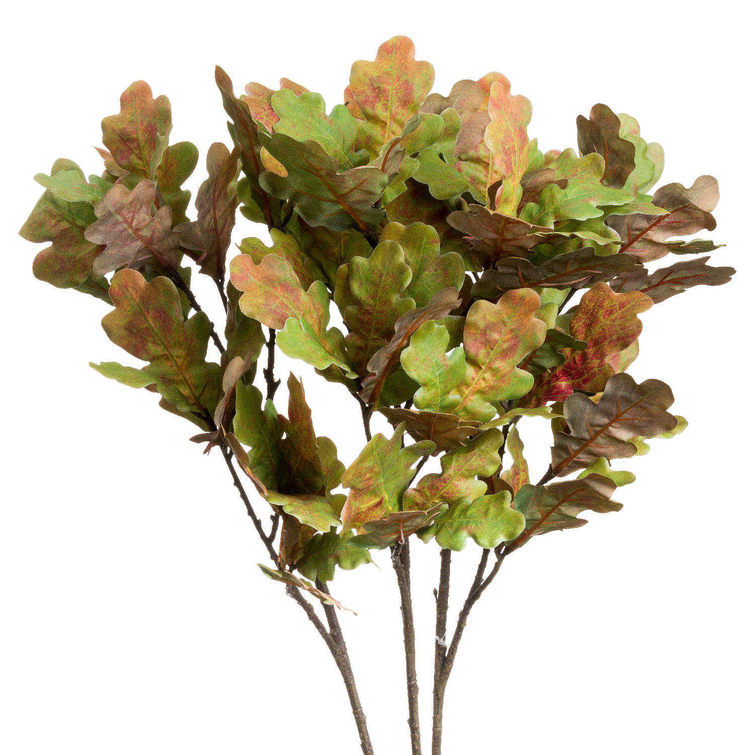 Oak Leaf Branch