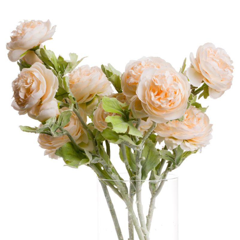Peach Camellia - Image 2