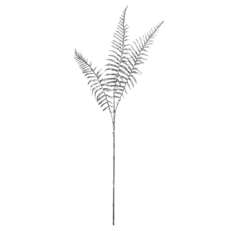 Silver Fern Spray - Image 2