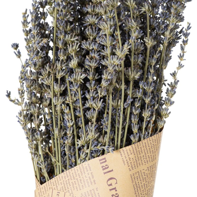 Dried lavender Bunch - Image 3