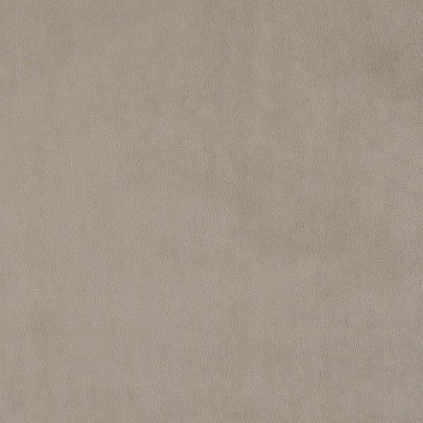 Grey Mushroom Velvet