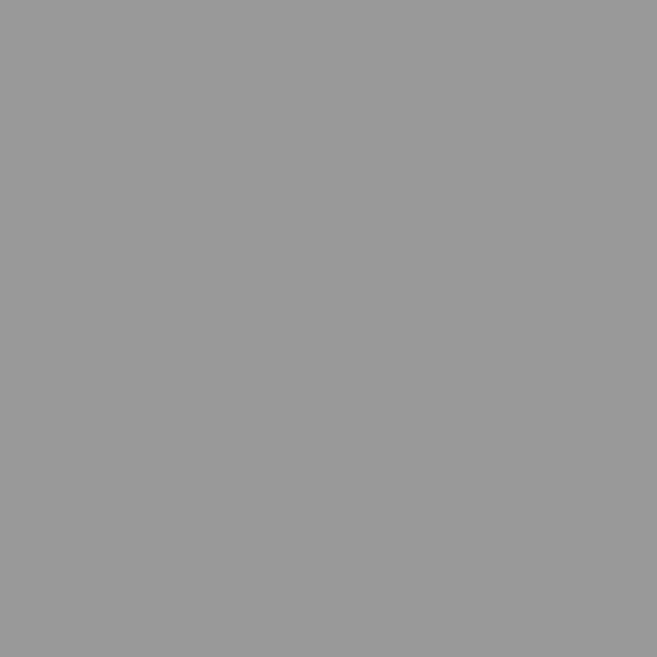 Grey Matt Lacquer