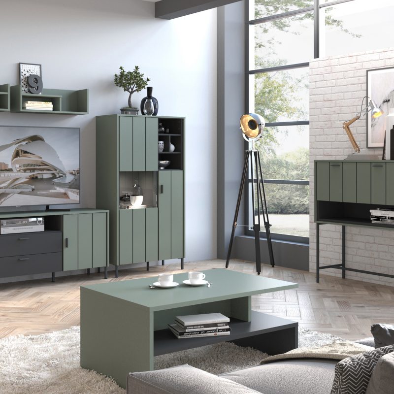 Arundel 2 Door Display Cabinet in Green/Grey - Image 3